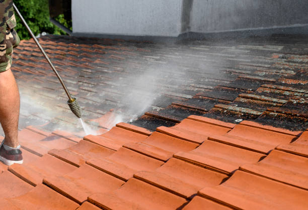 Best Pressure Washing Services Near Me  in North Lindenhurst, NY